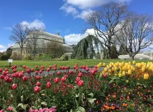 Botanic Gardens