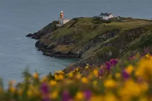 Howth Cliff Walk